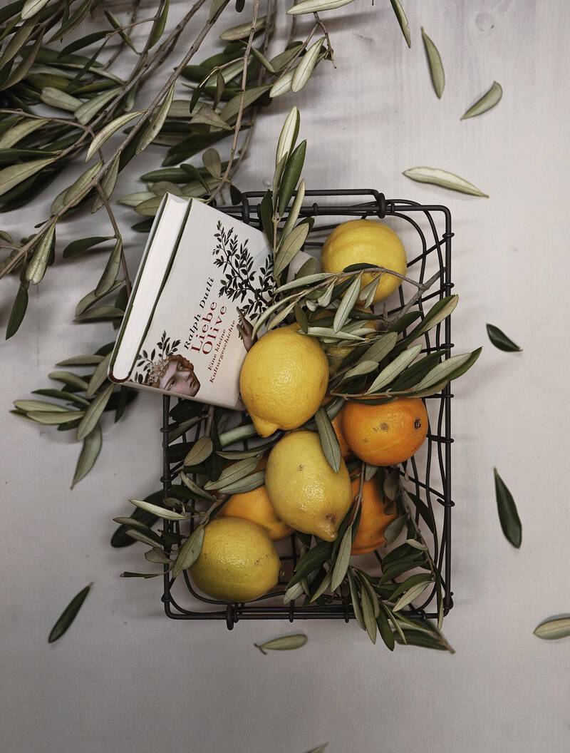 Fingerglück Kollektion Citrus & Olive Katalog