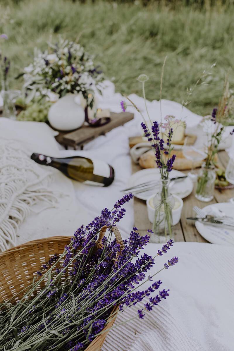 LAVENDEL - Styled Shooting mit Carola Unbehauen